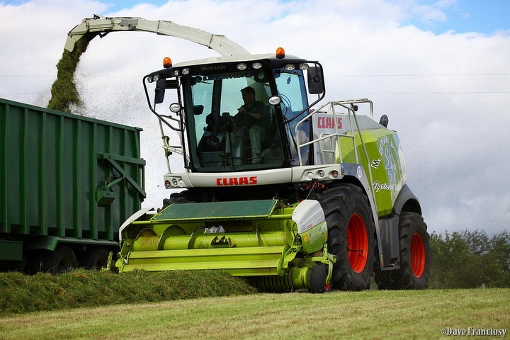 Grass, Whole-Crop & Maize harvesting with Class Self propelled foragers with Yeild recording and DM sensors using dedicated grass headers, Direct Disc for Whole-crop and 10 row  maize headers