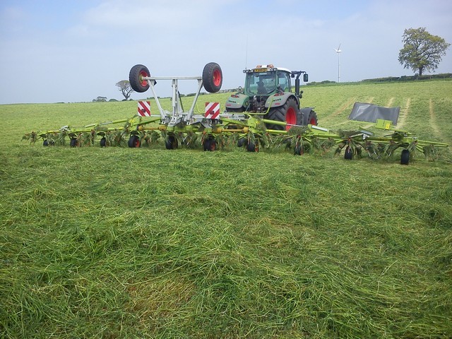 Grass Tedding with 13 m Claas machines