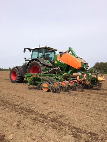 Amazone high speed precision maize drilling with individual row shut off.